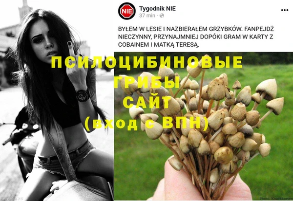 трава Алзамай