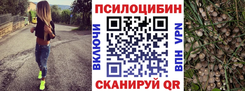 хочу наркоту  Апшеронск  Псилоцибиновые грибы мухоморы 